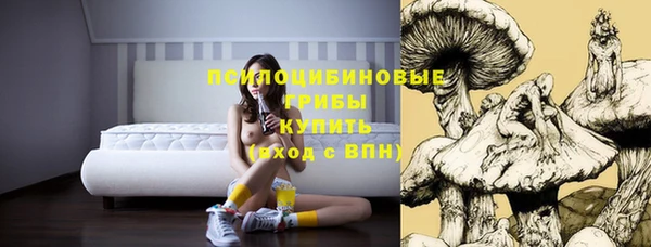 a pvp Лагань
