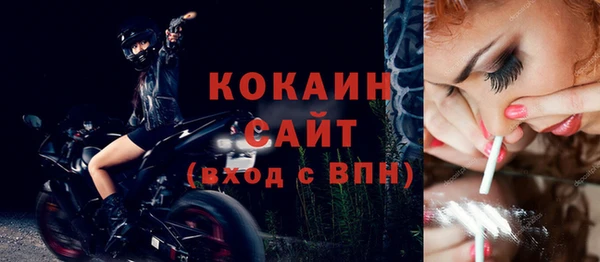 молекула духа Покров