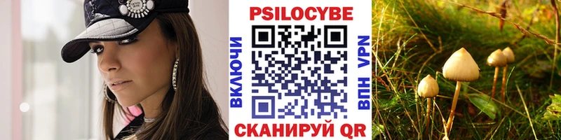 наркошоп  Нелидово  Псилоцибиновые грибы прущие грибы 